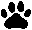 paw